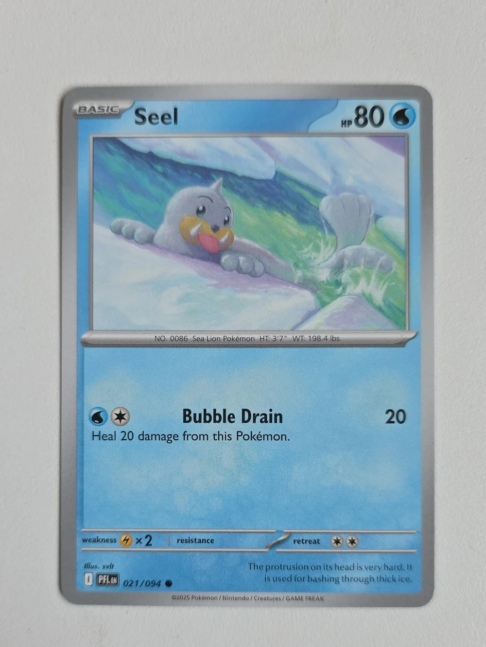 Pokemon Seel And Dewgong Trading Card